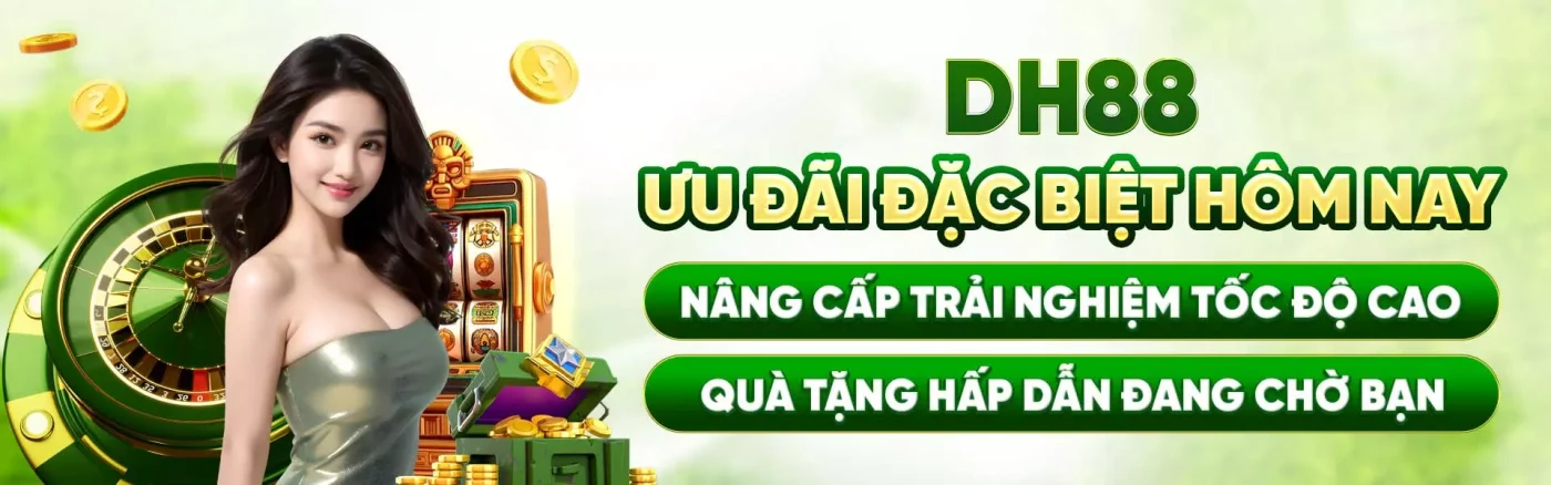 Banner DH88 1